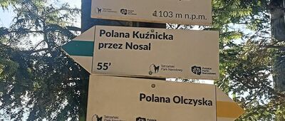 Przełęcz Nosalowa