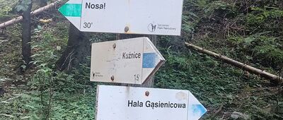 Odejście na Nosalową Przełęcz
