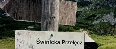 Zielony Staw Gąsienicowy