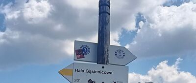 Kolejka krzesełkowa Gąsienicowa, stacja dolna