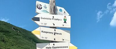 Rozejście szlaków