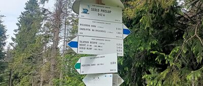 Przełęcz Przysłop