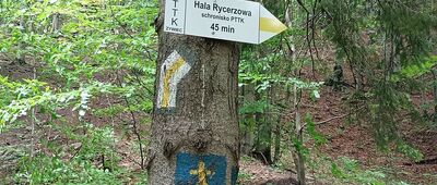 Nad Przełęczą Przysłop