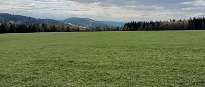 Hájovna Na Rovinách ↔ Przywarówka