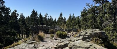 Janova skála