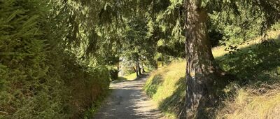 Ryžoviště, rozc.