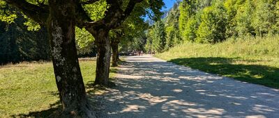 Wyżnia Kira Miętusia ↔ Odejście do Jaskini Mroźnej [Tatry Zachodnie - Dolina Kościeliska]