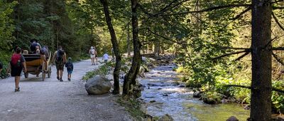 Lodowe Źródło ↔ Skała Sowa [Tatry Zachodnie - Dolina Kościeliska]