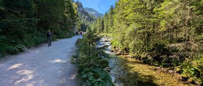 Lodowe Źródło ↔ Skała Sowa [Tatry Zachodnie - Dolina Kościeliska]