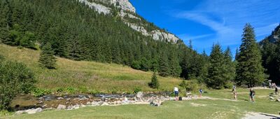 Skała Sowa ↔ Polana Pisana [Tatry Zachodnie - Dolina Kościeliska]