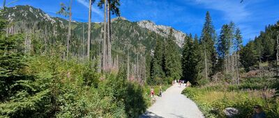 Tomanowa Dolina [Tatry Zachodnie - Dolina Kościeliska]