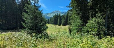 Schronisko PTTK na Hali Ornak [Tatry Zachodnie  - Mała Polana Ornaczańska]