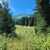 Tatry Zachodnie  - Mała Polana Ornaczańska