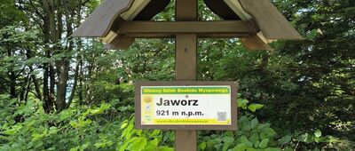 Jaworz