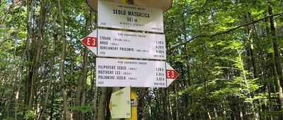 Przełęcz Mazgalica