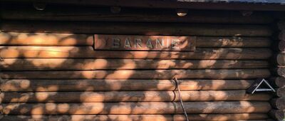 Baranie
