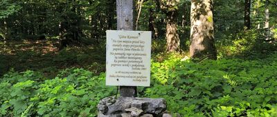 Kamień nad Jaśliskami