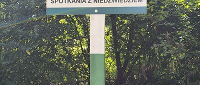 Lipowiec, odejście ścieżki spacerowej