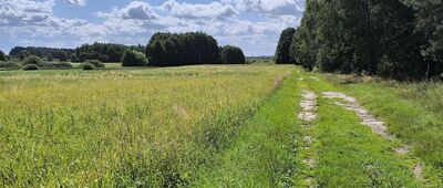 Pikulawka, rozejście szlaków