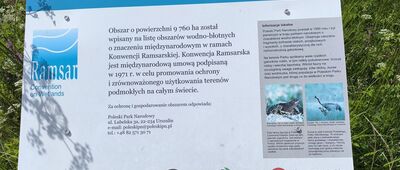 Rozejście szlaków