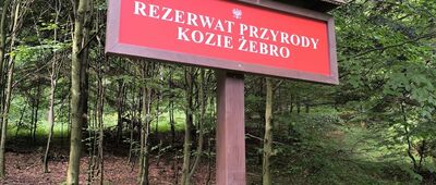 Kozie Żebro ↔ Regietów, szlak czerwony