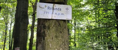 Rotunda
