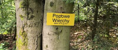 Zdynia ↔ Popowe Wierchy