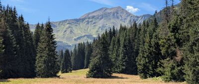 Iwaniacka Przełęcz ↔ Schronisko PTTK na Hali Ornak [Tatry Zachodnie  - Wielka Polana Ornaczańska]