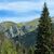 Tatry Zachodnie - żółtym szlakiem w kierunku Przełęczy Iwanickiej