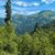 Tatry Zachodnie - żółtym szlakiem w kierunku Przełęczy Iwanickiej