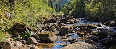 Dolina Dudowa ↔ Starorobociańska Dolina [Tatry Zachodnie - Dolina Chochołowska]