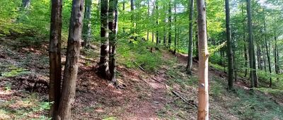 Odejście do bunkra Diabli Młyn ↔ Bunkier Diabli Młyn