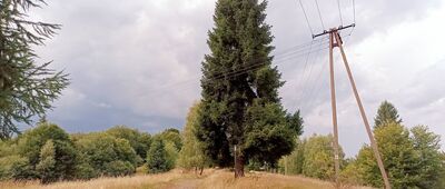 Stary Groń, Diabli Młyn