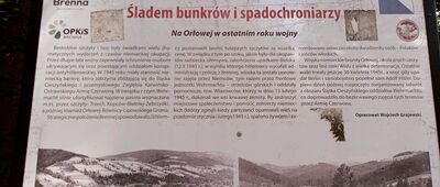 Pod Orłową