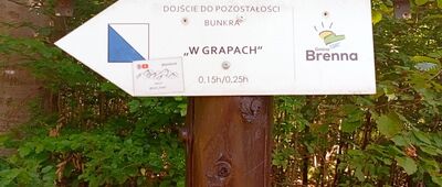Pod Orłową
