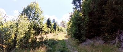 Pod Orłową ↔ Odejście do bunkra w Grapach