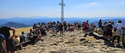 Tarnica