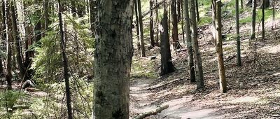 Glacká cesta