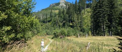 Niżnia Kominiarska Polana ↔ Wyżnia Kira Miętusia [Tatry Zachodnie - Ścieżką nad Reglami w kierunku Doliny Kościeliskiej]