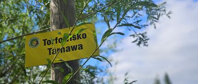 Torfowisko Tarnawa, parking ↔ Torfowisko Tarnawa