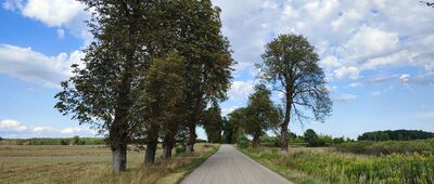 Rozejście szlaków ↔ Samoklęski, Kolonia Druga