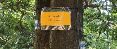Skrzyżowanie szlaków pod Kościelcem ↔ Jaworzyna [Kościelec zdobyty.]