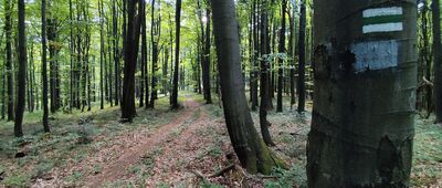 Moszczaniec ↔ Kanasiówka