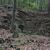 Łom Pisarski (Hrabski) przy czerwonej geologicznej ścieżce dydaktycznej.
