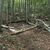 Dydaktyczna ścieżka geologiczna (czerwona). Odejście od żółtego szlaku PTTK w kierunku Łomu Pisarskiego (Hrabskiego).