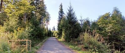 Stecówka, droga