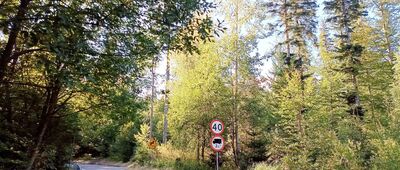 Przełęcz Szarcula