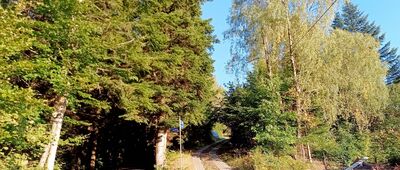 Wisła, Groń, ul. Kasztanowa