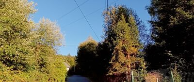 Wisła, Groń