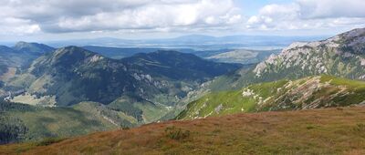 Iwaniacka Przełęcz ↔ Ornak